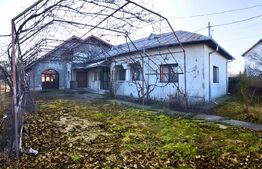 Casă Verde, 349 mp, 1.038 mp teren – Super Ofertă la 7 km de Târgoviște