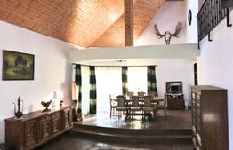 Casă Verde, 349 mp, 1.038 mp teren – Super Ofertă la 7 km de Târgoviște