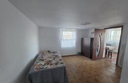 Casa de vanzare, 60 mp, Targoviste- Exterior Vest