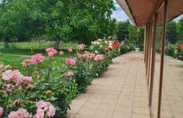 Casuta de vanzare, 149 mp utili, teren 1700 mp, Targoviste-zona Exterior Vest