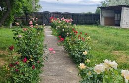 Casuta de vanzare, 149 mp utili, teren 1700 mp, Targoviste-zona Exterior Vest