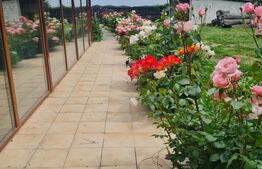 Casuta de vanzare, 149 mp utili, teren 1700 mp, Targoviste-zona Exterior Vest