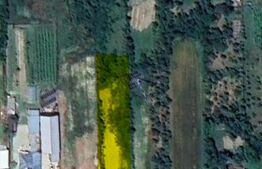 Teren 2.500 mp, front 23 ml, trifazic – Costești din Deal