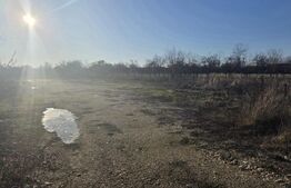 Teren 2.500 mp, front 23 ml, trifazic – Costești din Deal