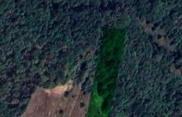 Teren deschidere la drum, 4172 mp – Frasin Deal, lângă pădure