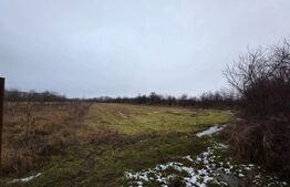 Teren de vânzare Moreni - 159647TV | BLITZ Târgoviște | Poza1