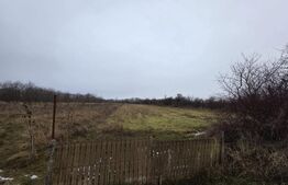 Teren deschidere la drum, 4172 mp – Frasin Deal, lângă pădure