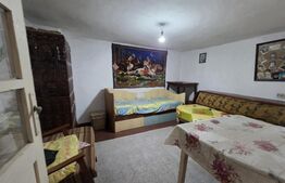 Casă cu teren generos și baltă de pescuit – Găești