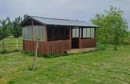 Casă cu teren generos și baltă de pescuit – Găești