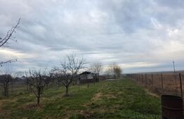 Casă cu teren generos și baltă de pescuit – Găești