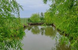 Casă cu teren generos și baltă de pescuit – Găești