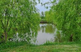 Casă cu teren generos și baltă de pescuit – Găești