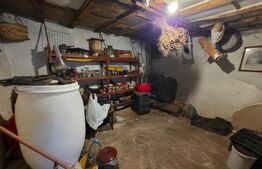 Casă cu teren generos și baltă de pescuit – Găești