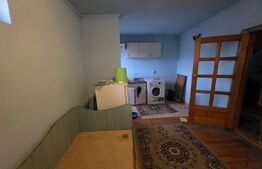 Casă cu teren generos și baltă de pescuit – Găești