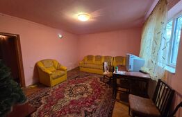 Casă cu teren generos și baltă de pescuit – Găești