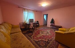 Casă cu teren generos și baltă de pescuit – Găești