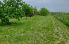 Casă cu teren generos și baltă de pescuit – Găești