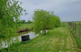 Casă cu teren generos și baltă de pescuit – Găești