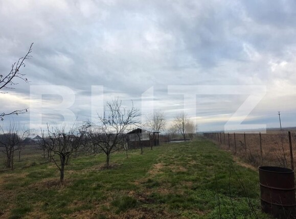 Casa de vânzare 5 camere Găeşti - 184920CV | BLITZ Târgoviște | Poza23