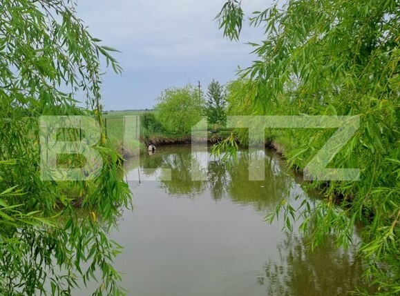 Casa de vânzare 5 camere Găeşti - 184920CV | BLITZ Târgoviște | Poza21