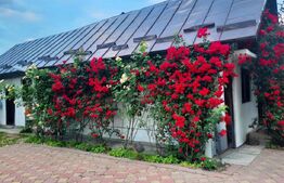 Vila cu Teren Generos si Livada La Sos. Principala Târgoviște–Găești