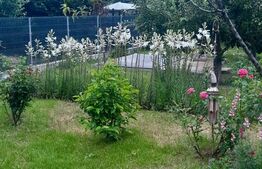 Vila cu Teren Generos si Livada La Sos. Principala Târgoviște–Găești