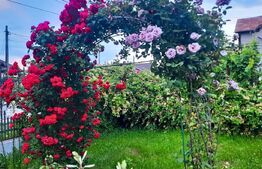 Casa cu 3000 mp Teren si Livada In Dumbrava - Sos. Principala -- 5 Minute de TGV