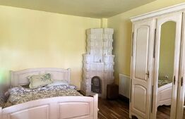 Casa cu 3000 mp Teren si Livada In Dumbrava - Sos. Principala -- 5 Minute de TGV