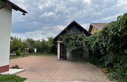Casa cu 3000 mp Teren si Livada In Dumbrava - Sos. Principala -- 5 Minute de TGV