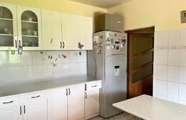 Casa cu 3000 mp Teren si Livada In Dumbrava - Sos. Principala -- 5 Minute de TGV