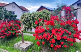 Vila cu 3000 mp Teren si Livada In Dumbrava - Sos. Principala Târgoviște–Găești