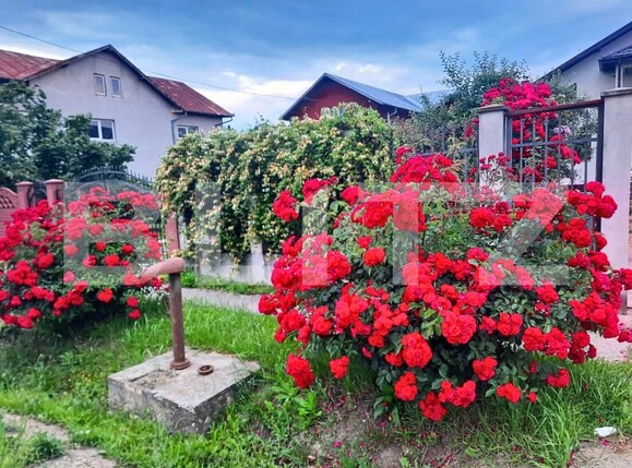 Casa de vânzare 8 camere Dumbrava - 184994CV | BLITZ Târgoviște | Poza16