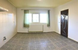 Casă P+M, 125 mp, Aleea Mănăstirii Dealu