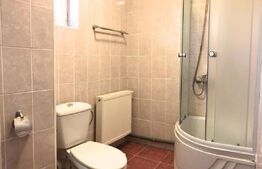 Casă P+M, 125 mp, Aleea Mănăstirii Dealu