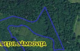 Teren extravilan, 16 ha cu pădure și vedere panoramică – Răzvad