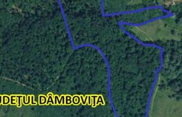 Teren extravilan, 16 ha cu pădure și vedere panoramică – Răzvad