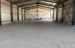 Hală industrială, 520 mp, zona Colanu 