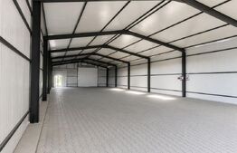 Hală industrială, 520 mp, zona Colanu 