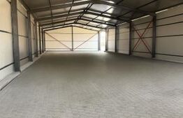 Hală industrială, 520 mp, zona Colanu 