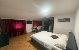 Se vinde complex comercial cu terasă + spații de cazare la etaj -Pucioasa