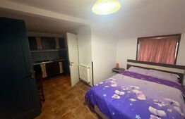 Se vinde complex comercial cu terasă + spații de cazare la etaj -Pucioasa