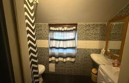 Se vinde complex comercial cu terasă + spații de cazare la etaj -Pucioasa