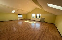 Vila spațioasă P+E+M, 519 mp utili