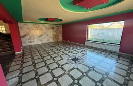 Vila spațioasă P+E+M, 519 mp utili