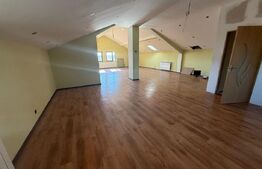 Vila spațioasă P+E+M, 519 mp utili