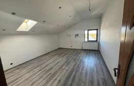 Vila spațioasă P+E+M, 519 mp utili