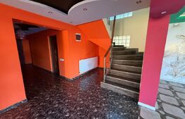 Vila spațioasă P+E+M, 519 mp utili