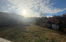 Casa de vanzare, Malu cu Flori 