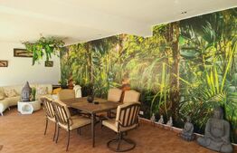 Vilă 350 mp utili, teren 700 mp, strada Craitelor 