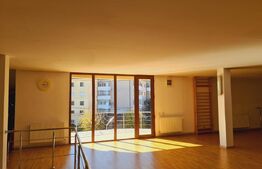 Vilă 350 mp utili, teren 700 mp, strada Craitelor 